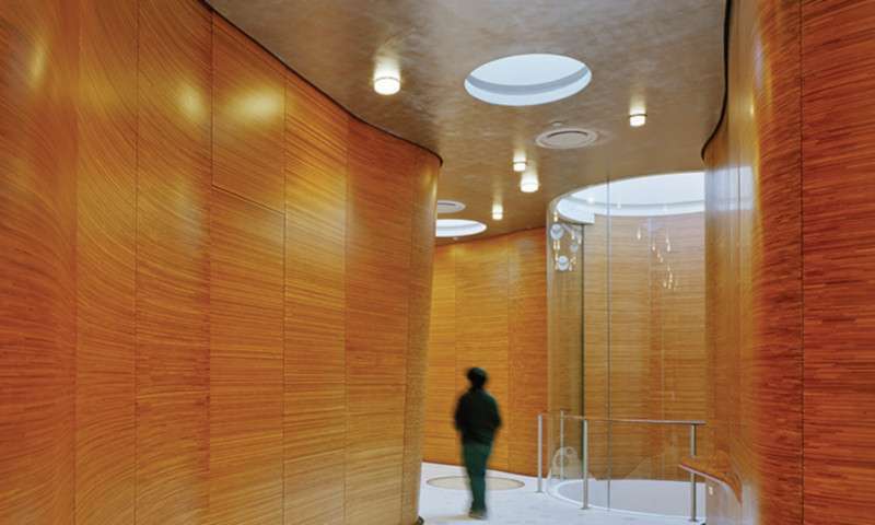 custom wall sculpting for entryway for lobby entry featuring Plyboo